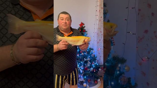 Зимняя рыбалка на форель на озере с Иванычем.