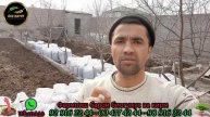 Биогумус ба ш. Исфара, ва 70тон биогумуси фурӯши аз ширк