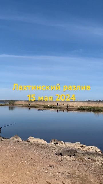 Лахтинский разлив 15 мая 2024