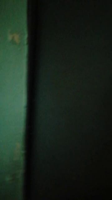 VID_20250513_152043.mp4