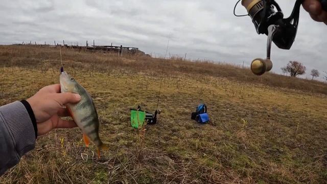 11.11 Окунёвая «чёрная пятница». Ловля на Shimano 20 Soare Xtune S76U