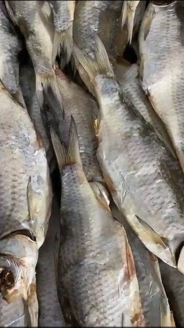 Рыба и морепродукты оптом(1)