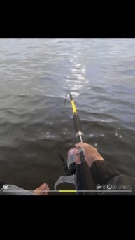 Норвежское море. Трофейная Макрель атлантическая. Рус