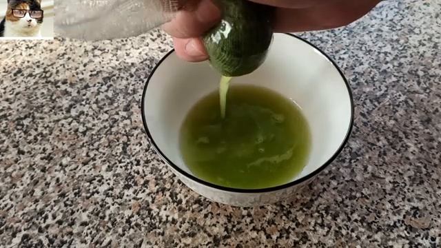 Замачивание семян в соке Алоэ перед посадкой