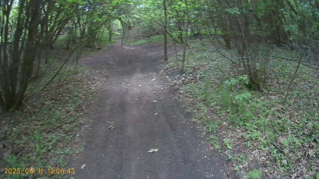 школа11