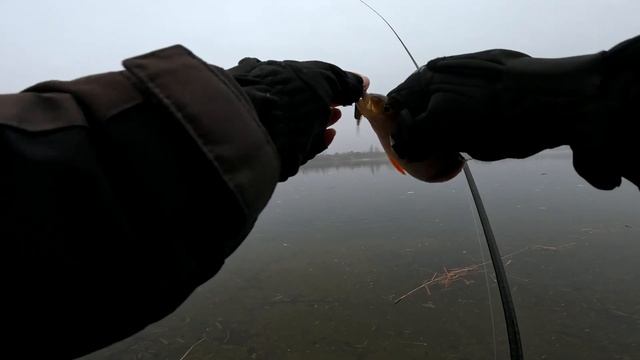 ЦЯ ПРИМАНКА ЛОВИТЬ ЗАВЖДИ. Збирає Окунів і Щук!