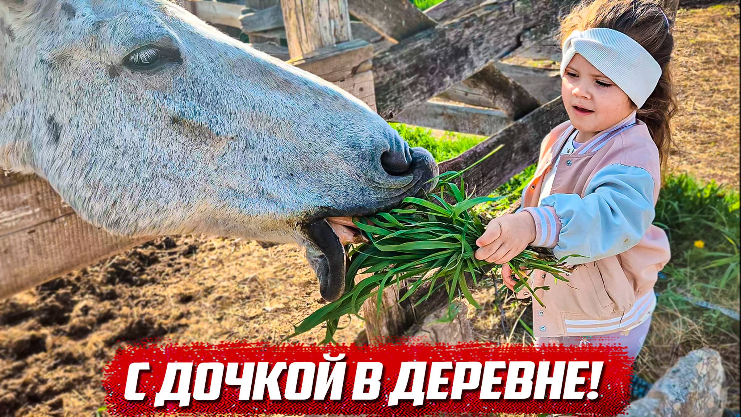 Видео из личной жизни | Бугурусланский р/н с.Благодаровка