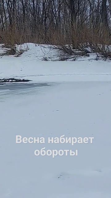Весна набирает обороты,скорейбы бродить по рекам#лето