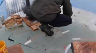 ВЕЧЕРНЯЯ РЫБАЛКА НА НАВАГУ🎣🐟