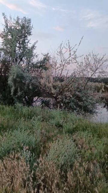 #fishing #2024 #природа #кайф #рыбалка #река #закат #отдых