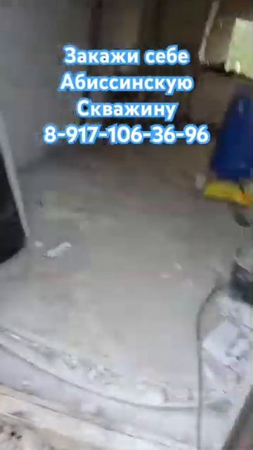Отзыв о моей работе ))) АБИССИНСКАЯ СКВАЖИНА