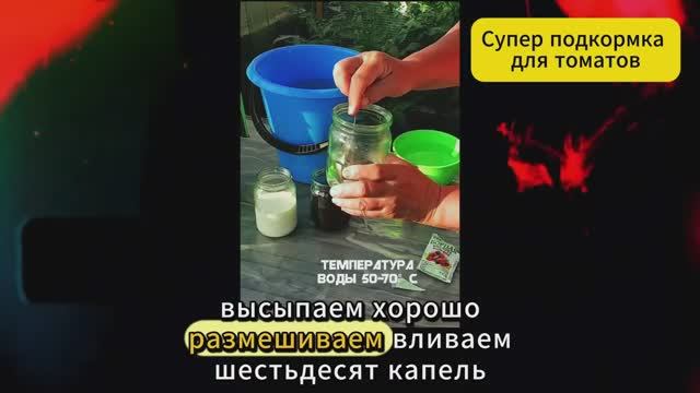 Секретная смесь для супер больших томатов своими руками! #огород #подкормка