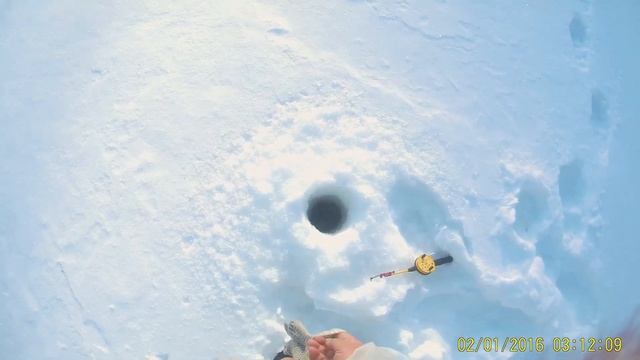Зимняя рыбалка КВХ
