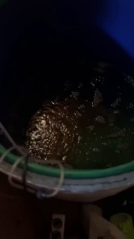 Когда лень ехать на рыбалку 😂