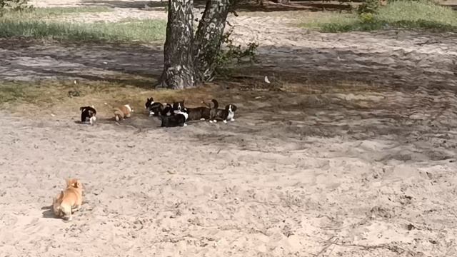 кардиганчики 🥰