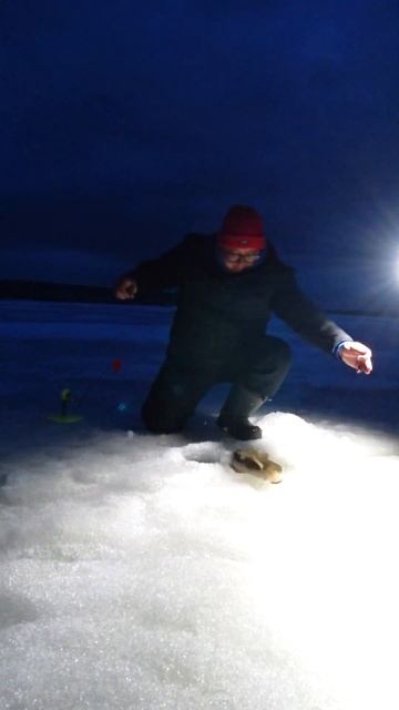 Что за ЛЯГУШКА ТАКАЯ? #shorts #рыбалка #fishing #nature #fish #влог  #?