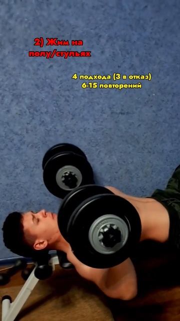 ТРЕНИРОВКА дома с гантелями‼️ (Грудные + спина) - лушч?