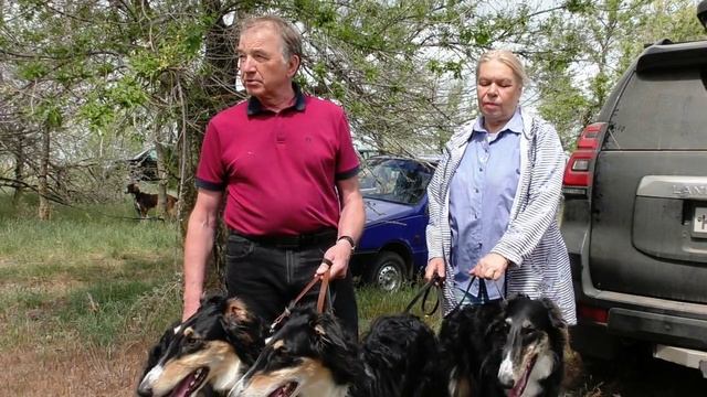 Интервью с Сергеем Уваровым - Вице-президентом национального клуба "Русская борзая" г.Москва