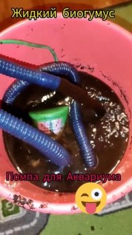 Жидкий Биогумус #жидкийбиогумус #биогумус #shortsvideo #удо?