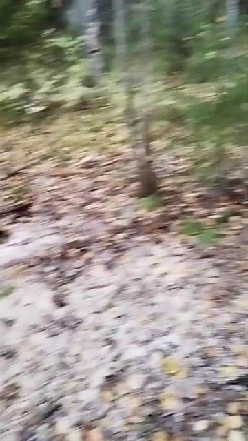 Первый балаган готов к зиме #live #рыбалка #озеро #fishing #ле