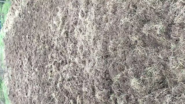 Вспашка целины мотоблоком Донагромаш.mp4