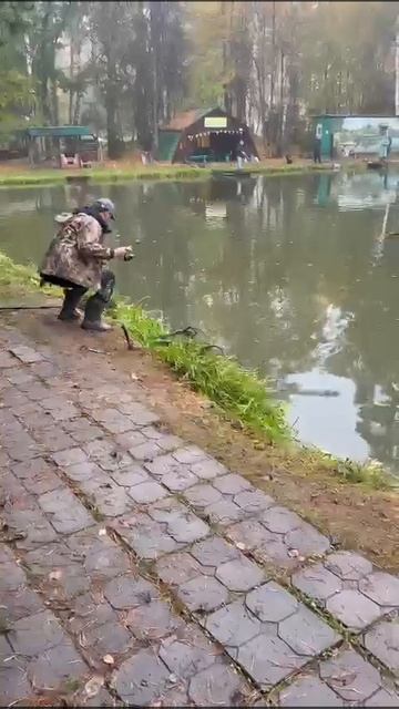 1 октября, форель