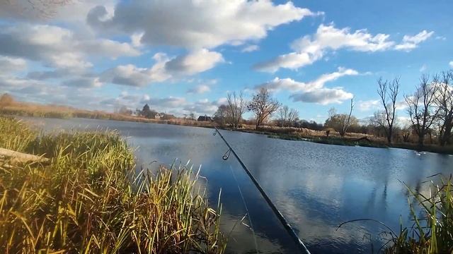 Ловля окуня на отводной поводок осенью с берега