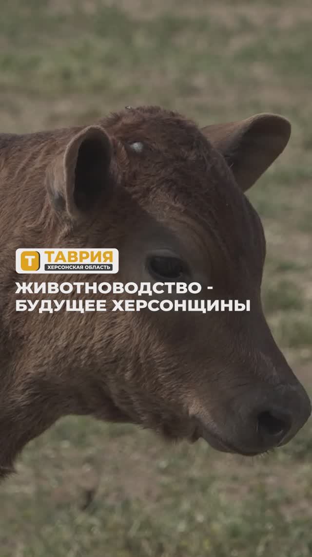 В Херсонской области зарегистрировано около 60 хозяйств малой формы собственности