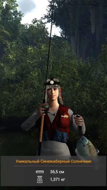 Fishing Planet Уникальный Синежаберный Солнечник #cyberlady#игра