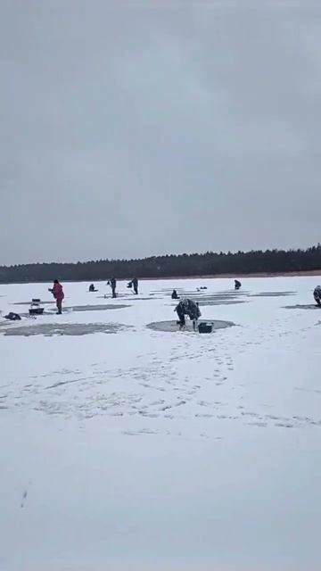 Сахалин, Буссе #рыбалка #сахалин