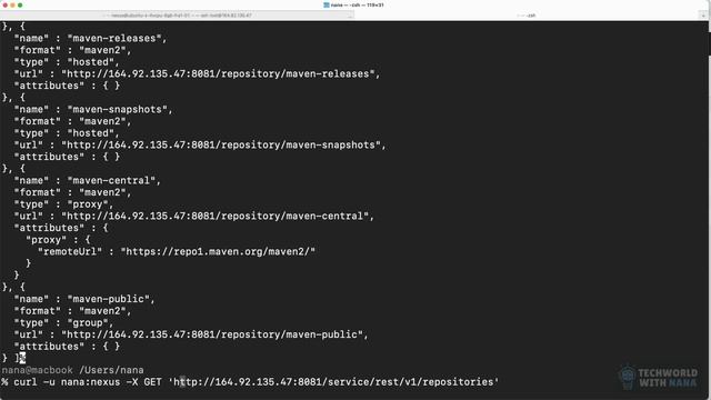 6.6 Nexus REST API