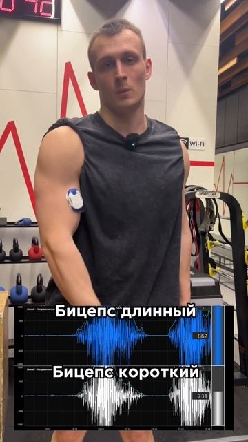 Качаем бицепс по науке