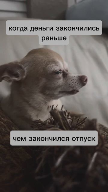 когда не рассчитал свои возможности
