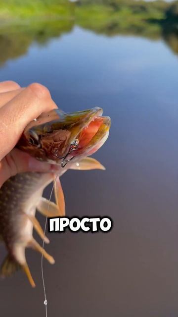 ЛАЙФХАК ПРИ ЛОВЛЕ ЩУКИ #fishing #щука #рыбалка #рыбалкавид?