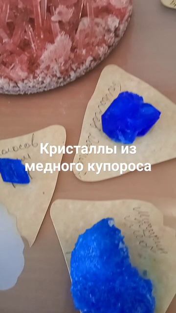 Кристаллы из медного купороса, выращенные в домашних ?