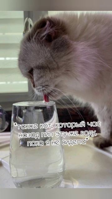 А потом в воде плавает шерсть🙂 #актив #рекомендации #м