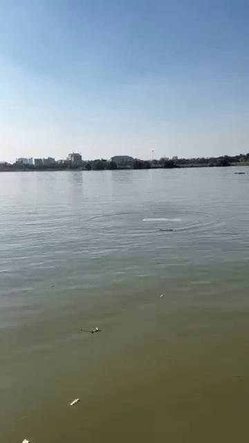 Have you ever seen someone shoot firecrackers like this before? #machinetools #automobile #tools