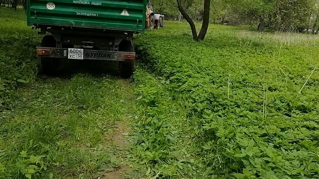 13.05.2025.Усадьба Парк Кино Ляхово. Парк Кошек. Домодедово.Уборка.Вывоз навалов порубочных остатков