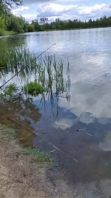 Рыбалка на две удочки на рыбу. #fishing #рыбалка #fish