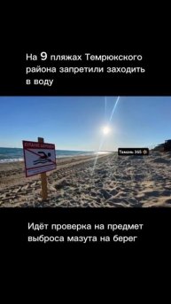 Тамань 365 / В Темрюкском районе запретили купаться из-за возможного выброса мазута