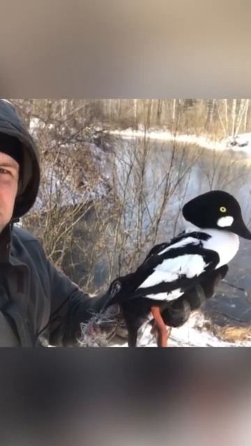 #путешествия #активныйотдых #мещера #путешествия #спас