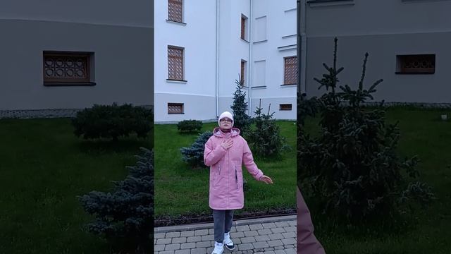 А.С.Пушкин, "Сказка о золотом петушке." Соня, 11 лет.