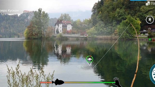 My Fishing World задание Ёрш полосатый