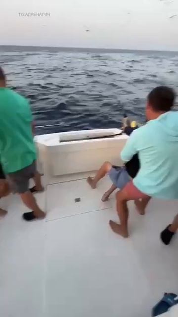 А вы бывали на морской рыбалка ?