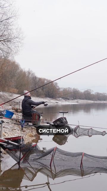 СТАВИМ бубенцы на будильник?? 🤣🤣🤣 #dunaevmedia #рыбалка