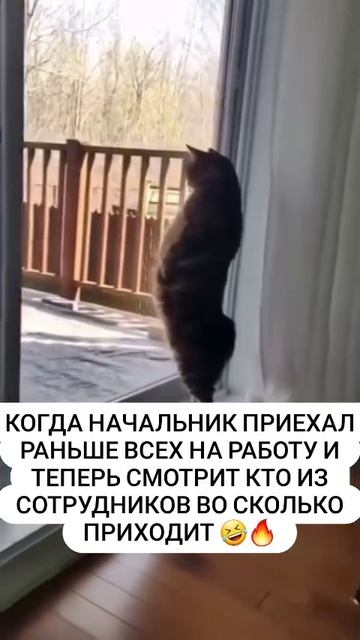 Когда начальник приехал раньше других