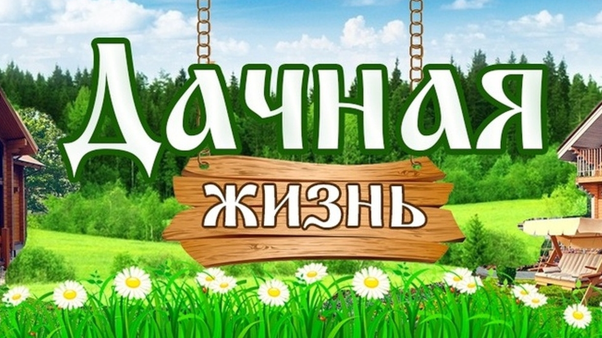 как у меня на участке было зимой 2024 года