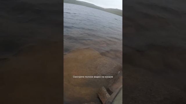околокилушная форель пытается слинять в камни. прет к?