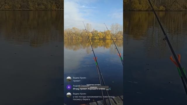 Прямая трансляция Правильная  рыбалка🐟#рыбалка#фиде?