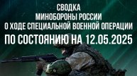 СВОДКИ МО РФ О ХОДЕ СВО ПО СОСТОЯНИЮ НА 12.05.2025. Новости